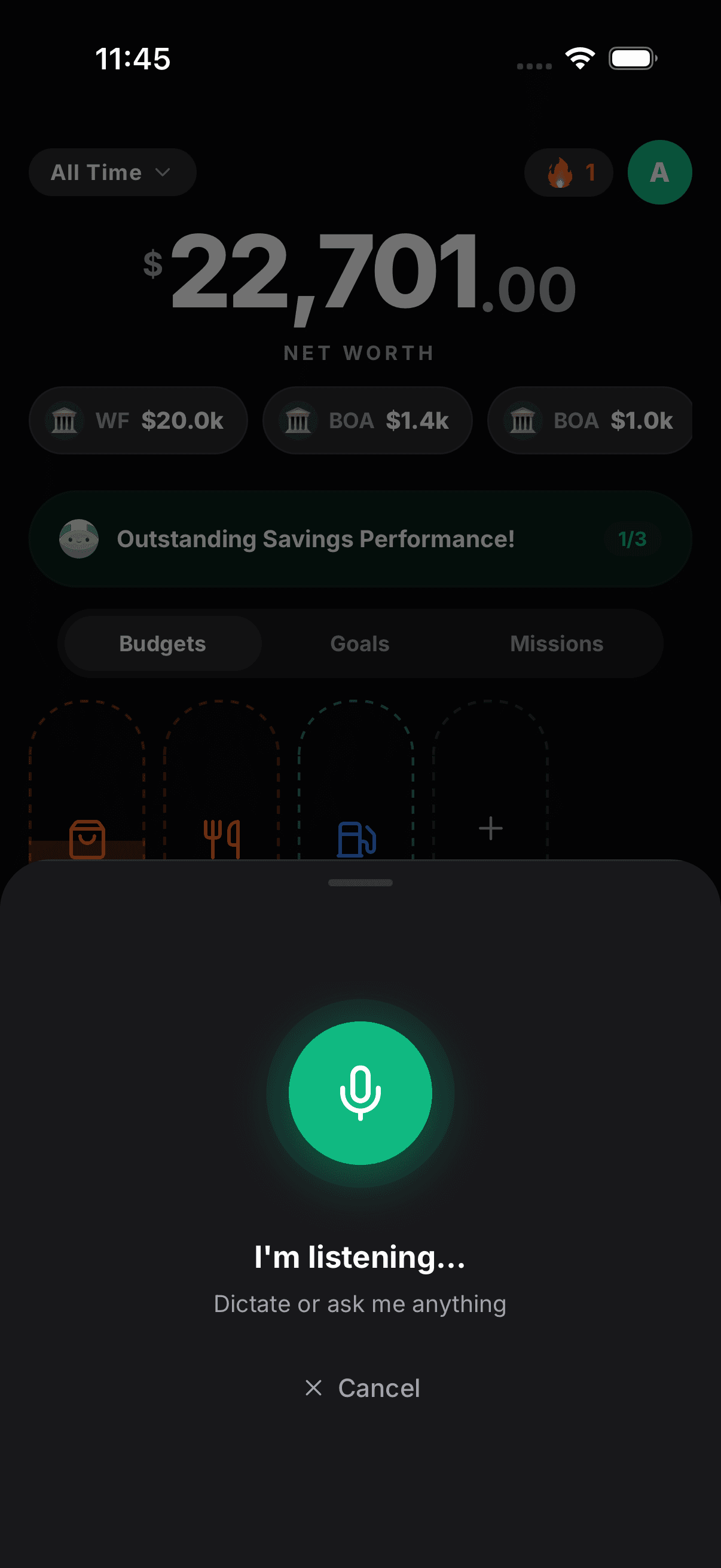Koinx voice logging interface view